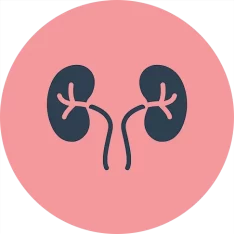 Nephrology,nephrology meaning,Nephrology in Turkey