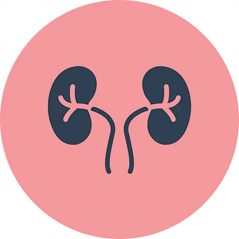 Nephrology