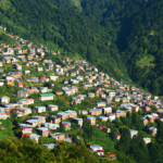 Rize