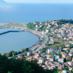 Ordu