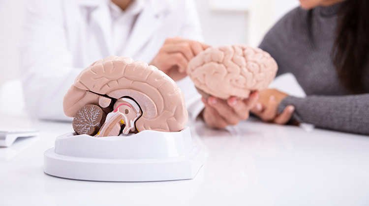 Brain and Nerve Surgery,brain surgery nerve damage,brain trigeminal nerve surgery,brain surgery nerve pain