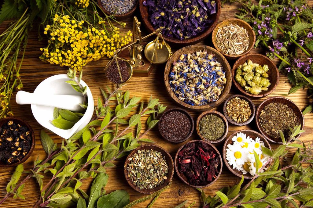 Folk Medicine,folk medicine meaning,folk medicine examples